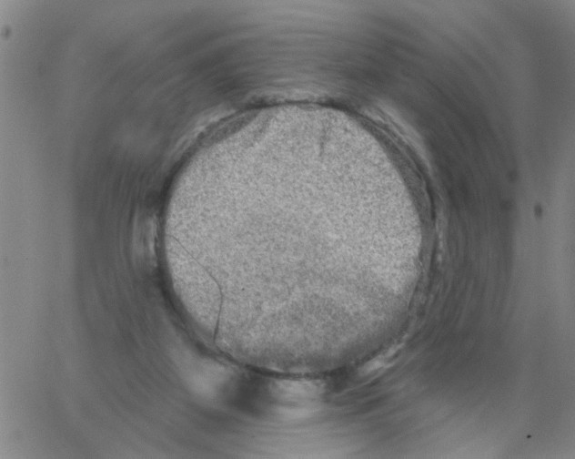 X0000066120115200604071922