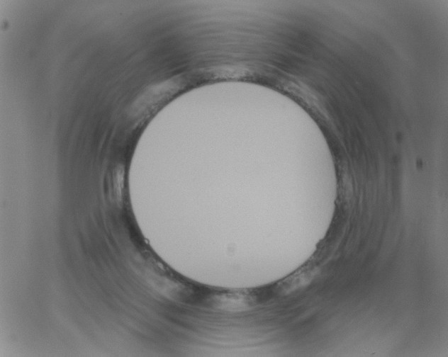 X0000066120118200604071922