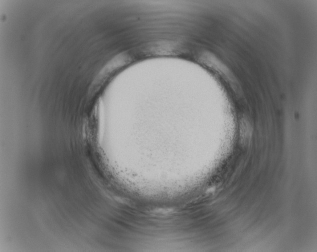 X0000066120119200604071922