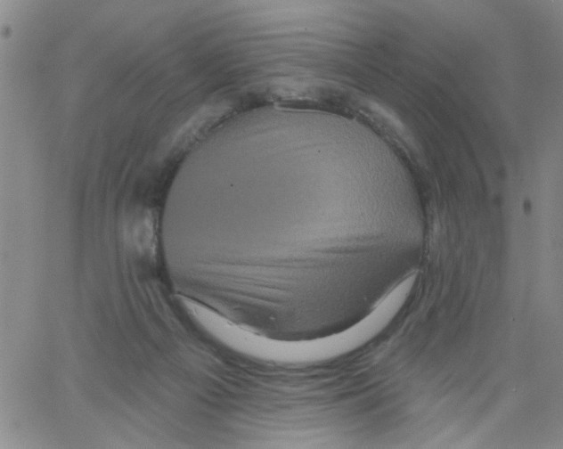 X0000066120121200604071922