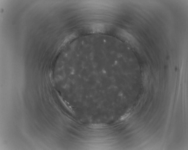 X0000066120123200604071922