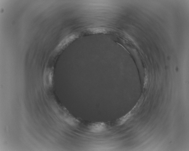 X0000066120124200604071922