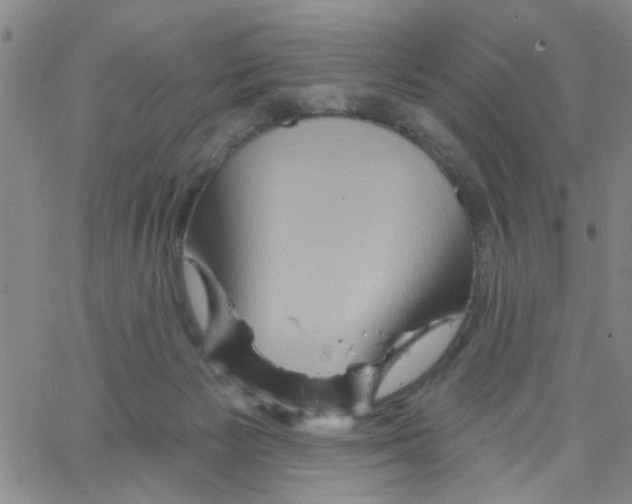 X0000066120125200604071922