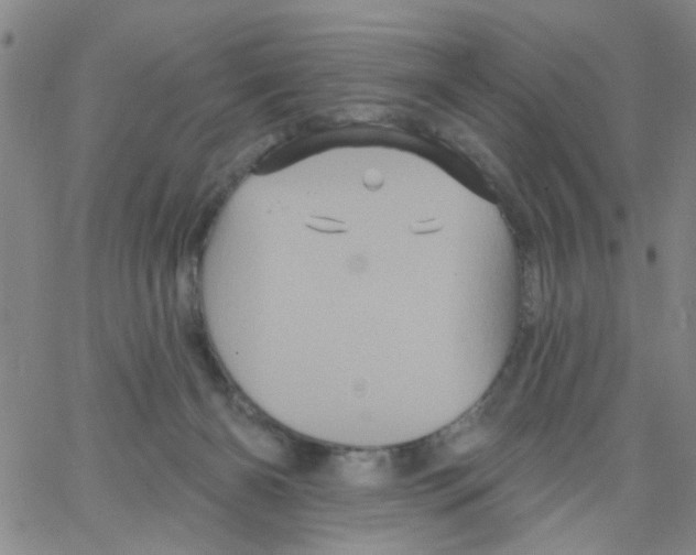 X0000066120126200604071921