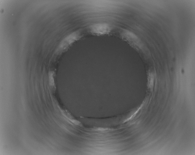 X0000066120128200604071921