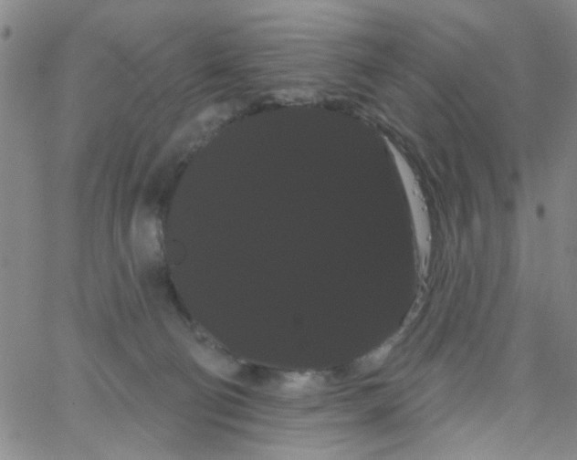 X0000066120130200604071921