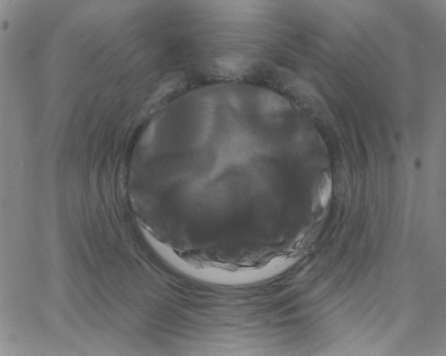 X0000066120131200604071921