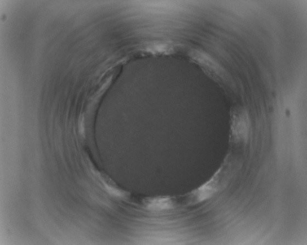 X0000066120132200604071921