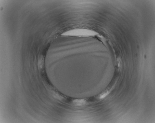 X0000066120133200604071921