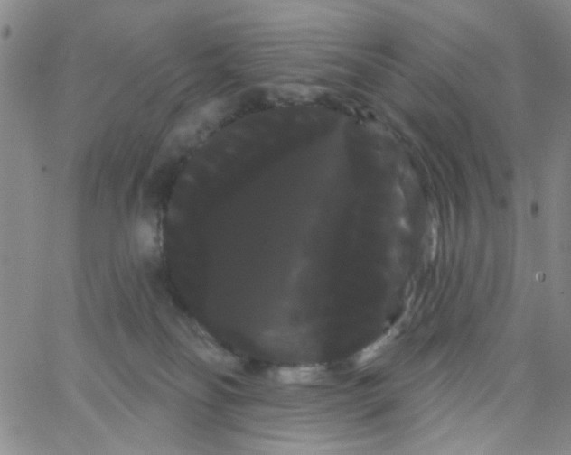 X0000066120134200604071921