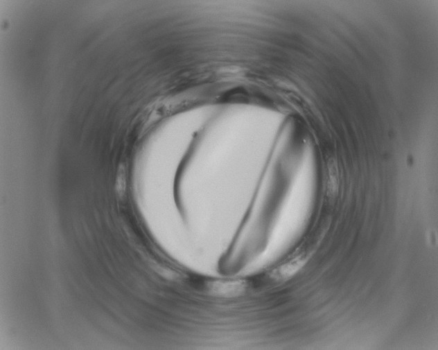 X0000066120135200604071921