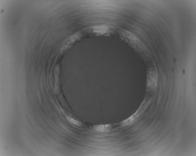 X0000066120136200604071921