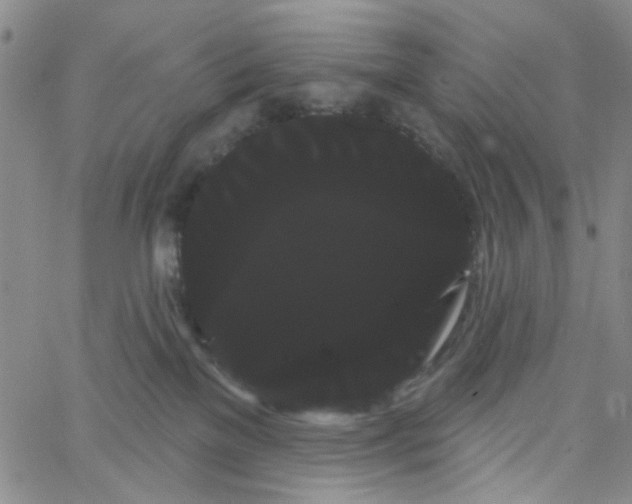 X0000066120137200604071921