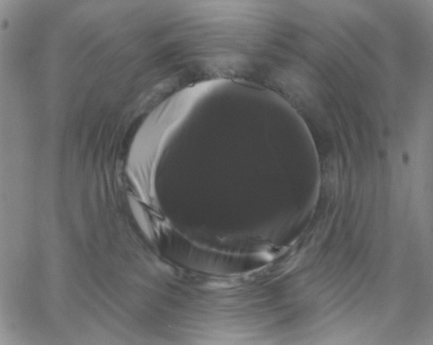 X0000066120139200604071921