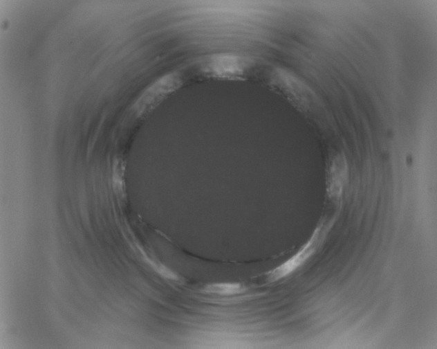 X0000066120140200604071921