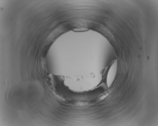 X0000066120141200604071921