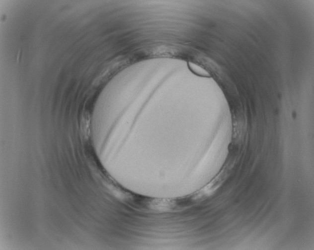 X0000066120142200604071921