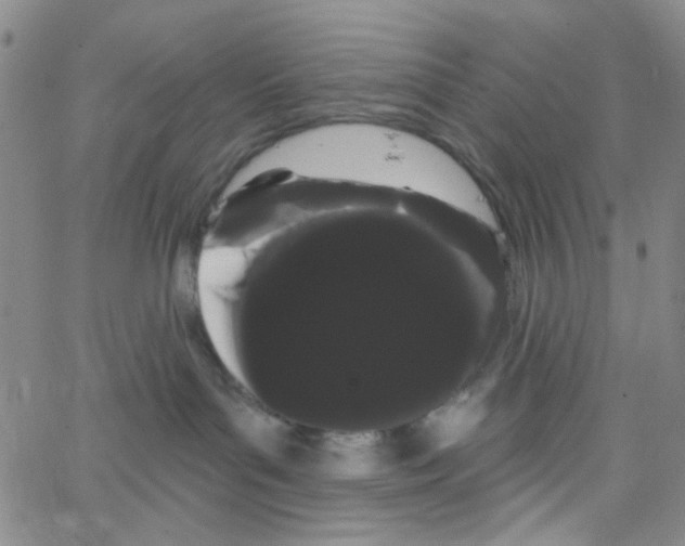 X0000066120143200604071921