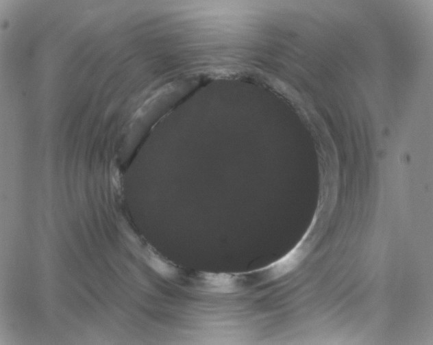 X0000066120144200604071921