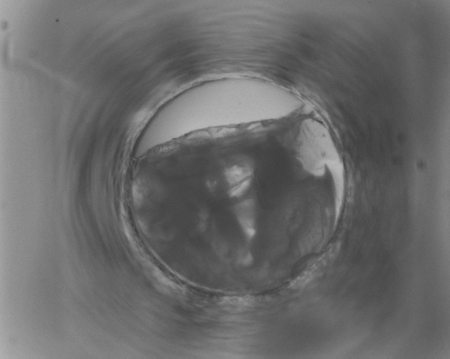 X0000066120145200604071920