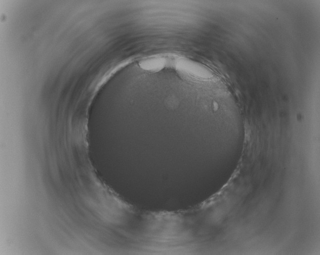 X0000066120146200604071920