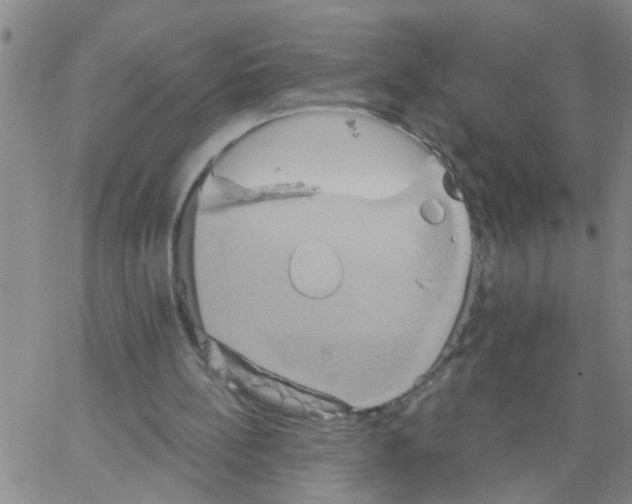 X0000066120148200604071920