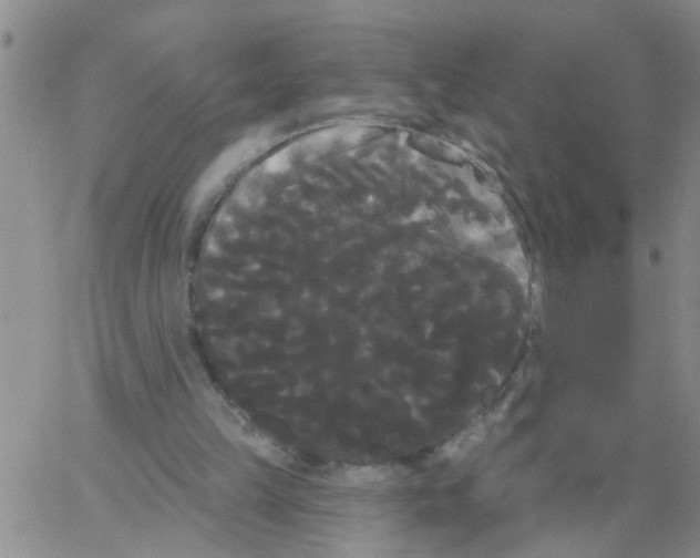 X0000066120149200604071920