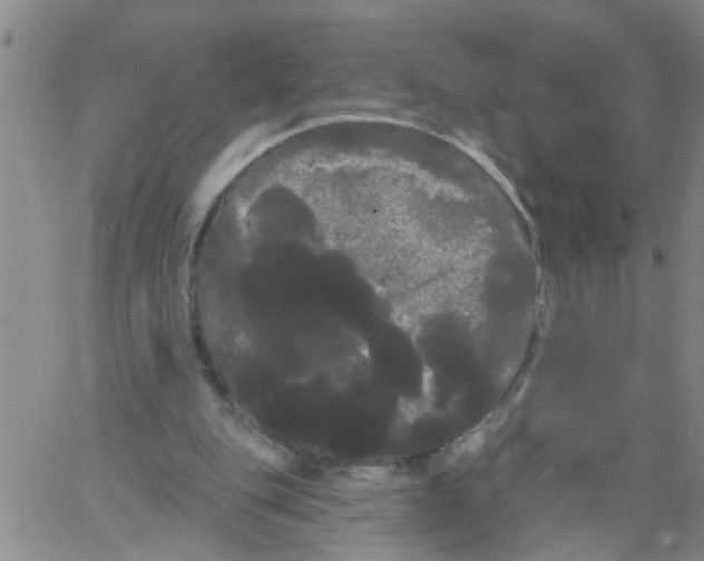 X0000066120151200604071921