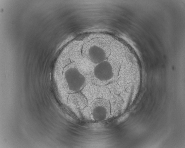 X0000066120153200604071921