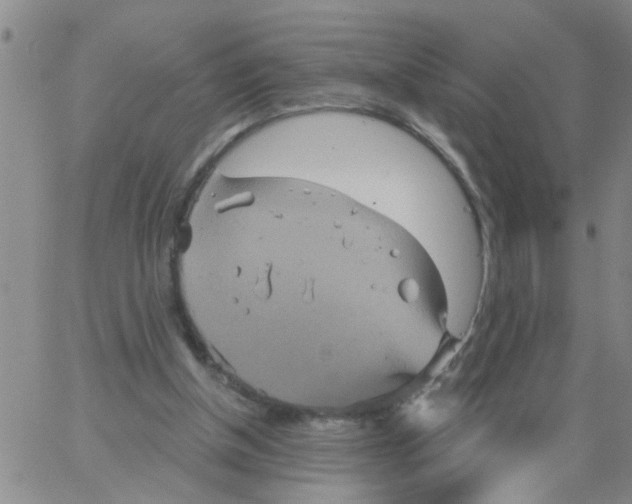 X0000066120154200604071921