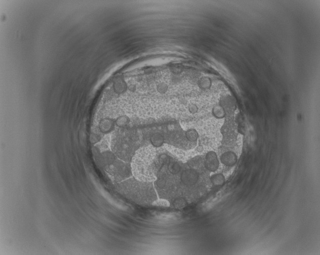 X0000066120155200604071921