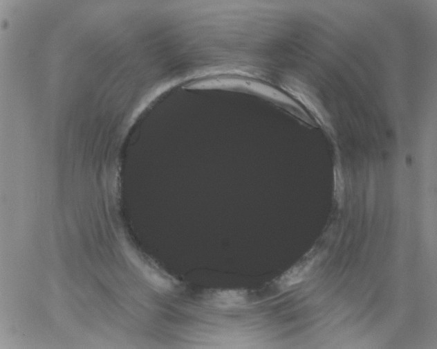 X0000066120156200604071921