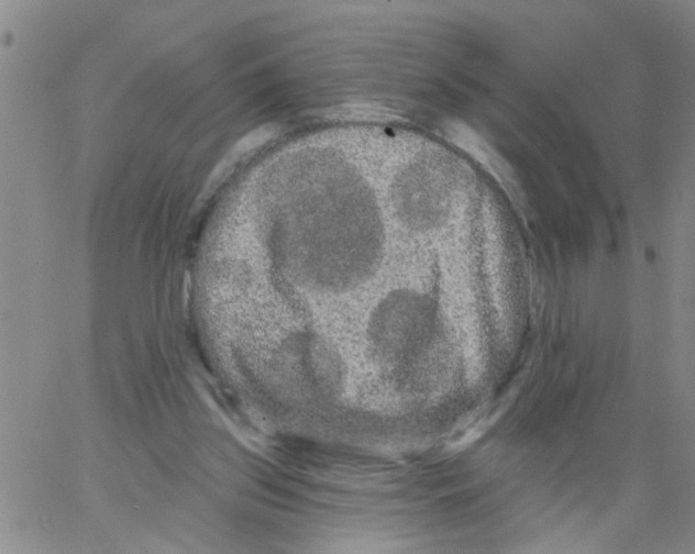 X0000066120157200604071921