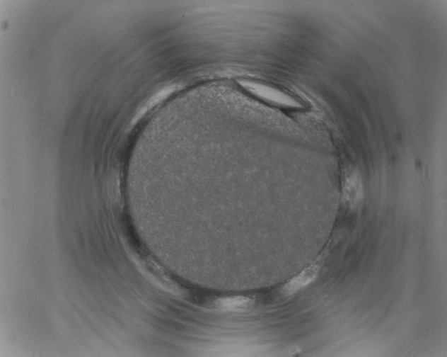 X0000066120158200604071921