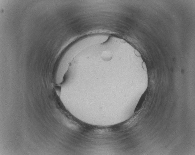 X0000066120160200604071921