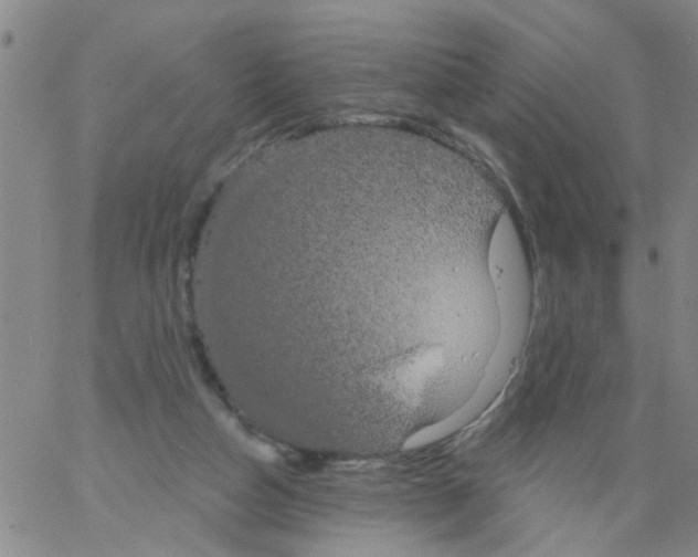 X0000066120162200604071921