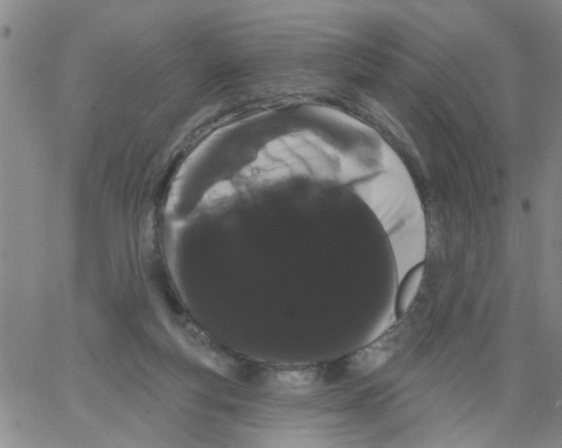 X0000066120163200604071921