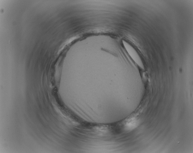 X0000066120164200604071921