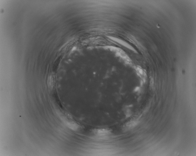 X0000066120165200604071921