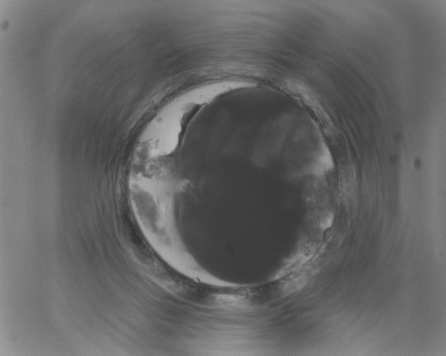 X0000066120167200604071921