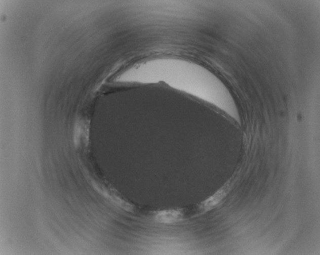 X0000066120168200604071921