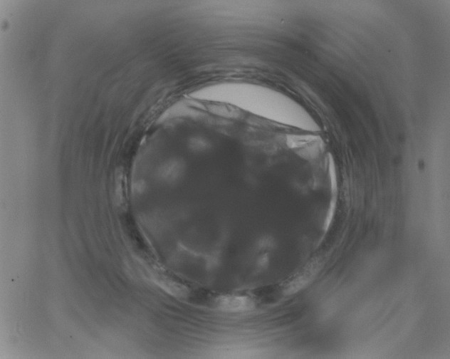 X0000066120169200604071921