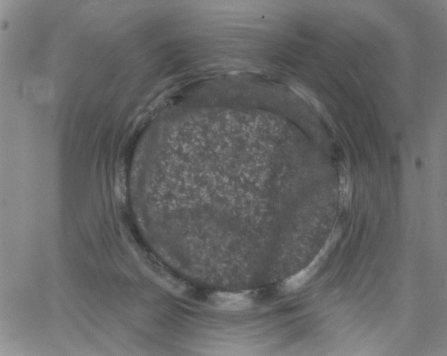 X0000066120170200604071921