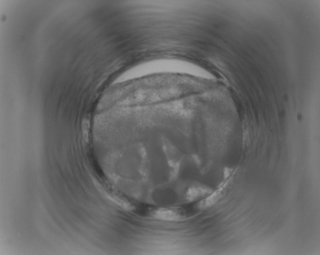 X0000066120171200604071921