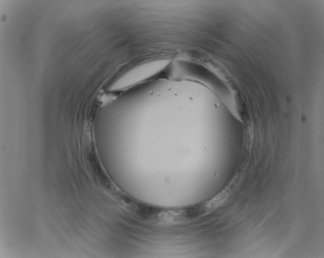 X0000066120172200604071921