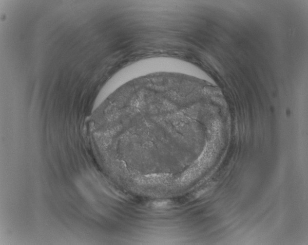 X0000066120173200604071921