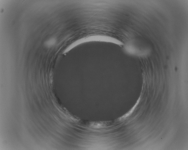 X0000066120174200604071921