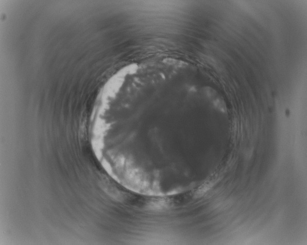 X0000066120177200604071921