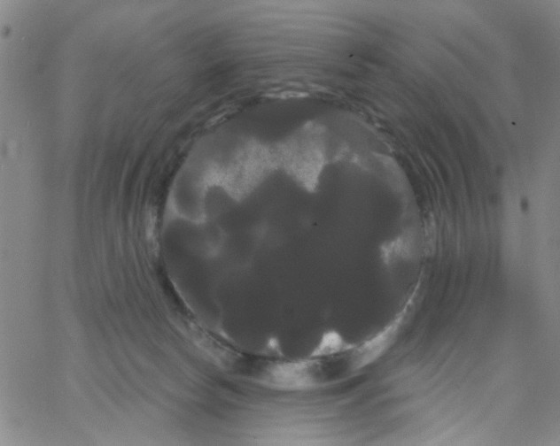 X0000066120178200604071921