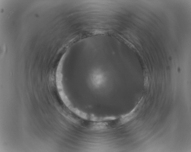 X0000066120179200604071921